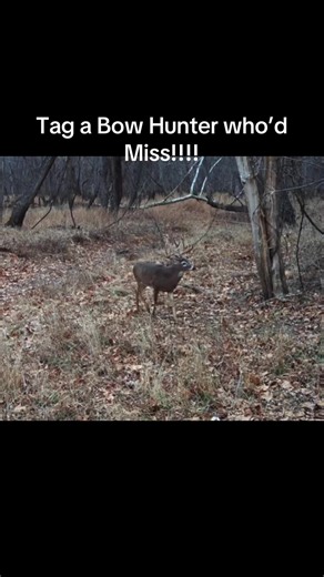 Essential Tips for Successful Deer Hunting