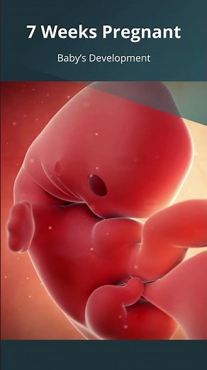 7 Weeks #Pregnant | What to Expect with Baby's Growth & Development | #FirstTrimester | #Embryo