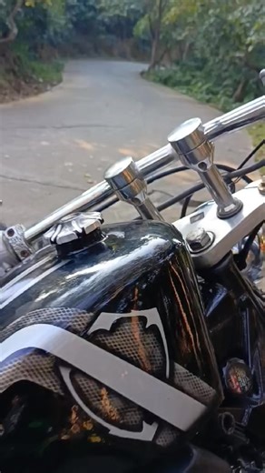 Honda Shadow Slasher 400cc Review: 2001 Model Insights