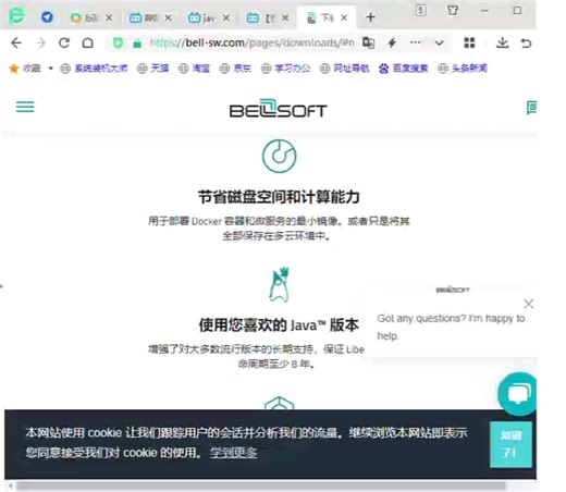 安装jdk18教程链接https://bell-sw.com/pages/downloads/#mn