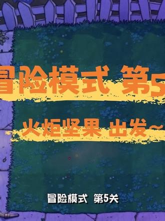 植物大战僵尸杂交版🧟🧟‍♂️火炬坚果 出发～ 小白闯关-第5关～冲鸭～#单机游戏#植物大战僵尸杂交版#豌豆射手差点没打死僵尸#日常娱乐#随便玩玩