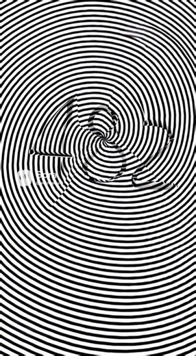 What's the number in the Spiral ?