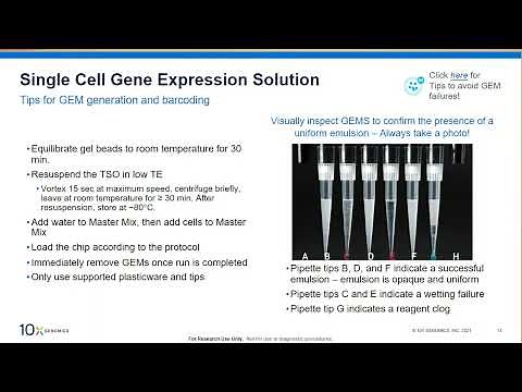 10x Genomics and Illumina: Bringing Single Cell Gene Expression to Illumina Sequencing Platforms
