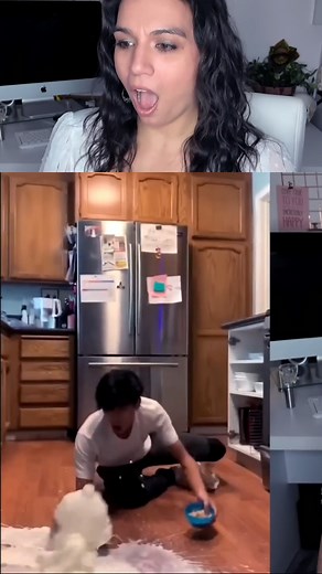 2.6K views · 29 reactions | These cooking fails are on a whole different level — burnt chaos, kitchen explosions, food disasters, and people who absolutely should NOT be left unsupervised with a stove.  This clip is pure kitchen mayhem that will have you laughing, cringing, and questioning humanity all at once. #CookingFails #KitchenDisasters #ViralClip | Lindey Glenn | Facebook