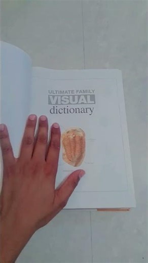 ULTIMATE FAMILY VISUAL DICTIONARY(BOOK )