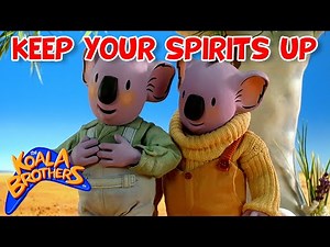 Keep Your Spirits Up 🙌🙏😇 | ‪@KoalaBrothersTV‬ | 25+ Mins | #compilation | Animation for Kids