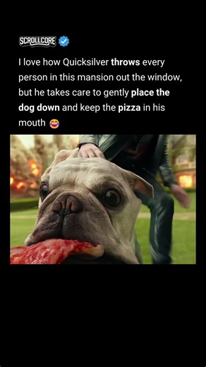 Quicksilver has his priorities straight 😂