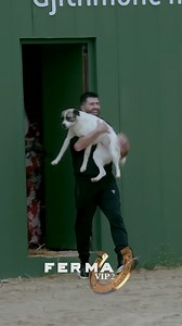 79K views · 709 reactions | Sa i mirë që je/ "Fermerët e ri" mirëpriten plot dashuri nga fermerët #fermavip #fermavipalbania2 #vizionplustv #tringtv | Ferma VIP | Facebook