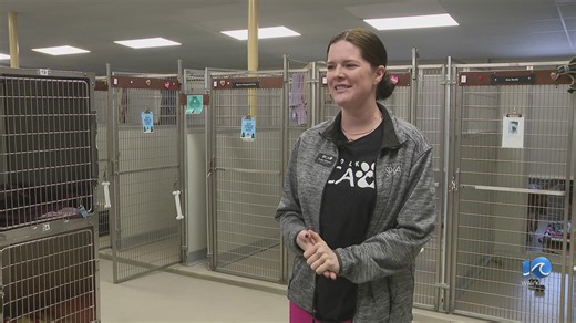 Norfolk SPCA gets a 'silent night' at kennels