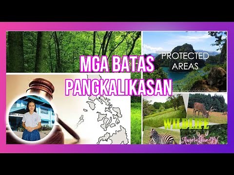 MGA BATAS PANGKALIKASAN (Environmental Laws In The Philippines)BY ANGELA NICOLE BARLIZO