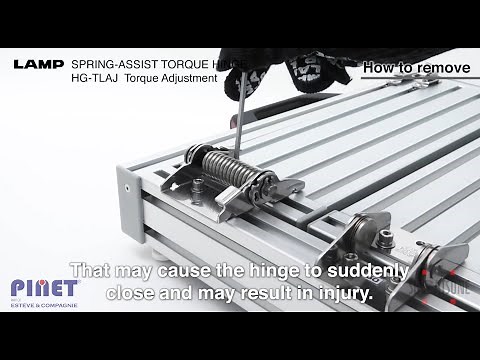 Spring-assist torque hinge