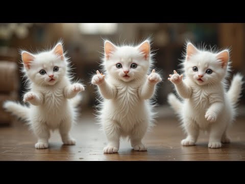🐱🎶 Cutest Dancing Kittens Ever! | Baby Music Song You Can’t Stop Singing