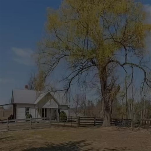 1.3K views | Price Reduced! This 25-acre mini farm in the Blue Ridge Mountains offers the perfect blend of rustic charm and modern convenience. Price Reduced! This 25-acre mini farm in the Blue Ridge Mountains offers the perfect blend of rustic charm and modern convenience. | Forgotten Places | Facebook