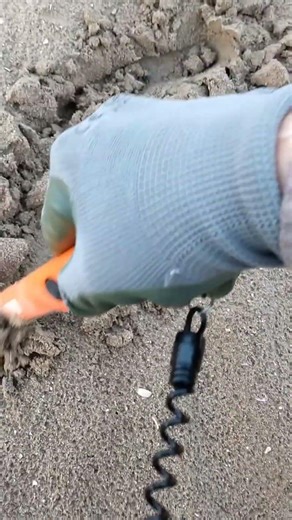 Simplex Lite - Trovo Moneta dorata