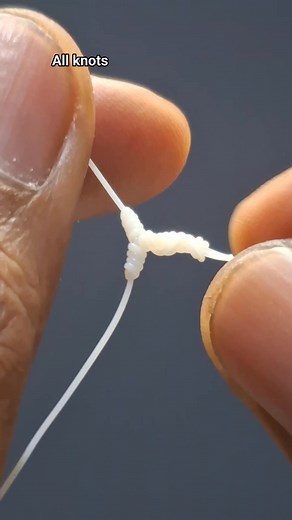 6.3K views · 39 reactions | fastest and easiest T knot | All knots | Facebook