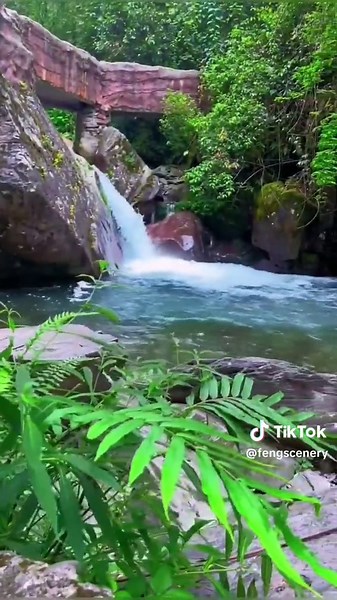 #scenery #nature #foryou #water