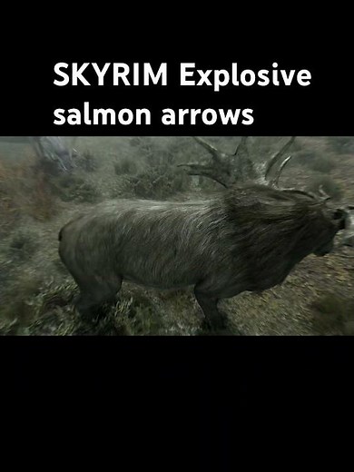 Explosive salmon arrows #skyrim #gameplay #gaming #skyrimspecialedition #subscribe #fypシ #like