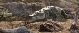 Crocodile walk cycle exercise