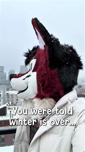 Exploring the Furry Fandom and Fursuiting