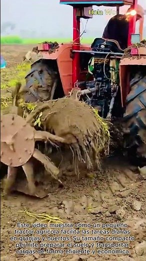 Cómo un Mini Tractor Optimiza el Trabajo Agrícola #worker #process #agriculture #farm #tools