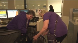 Therapy dogs providing stress relief to Austin's 911 call takers