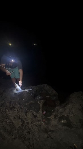 2.4K views · 37 reactions | Need to upgrade the hooks for these powerful fish. #fishing #benthookss #fulltimefisherman #striper #Oklahoma #okie #nightfishing | Full Time Fisherman | Facebook