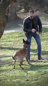 Dog Training USA 🐕 Welcome to Smart Dog Training 🐶✨ Every dog deserves love, guidance, and a little patience. Whether you’re teaching a playful puppy or calming an older dog, the right training can make life easier — and a lot more fun! Here you’ll find: ✅ Simple training tips you can try today ✅ Positive methods (no yelling, no punishment) ✅ Support for common issues like barking, pulling, or chewing 👉 Want step-by-step guidance from experts? Check out this trusted program https://theonlined