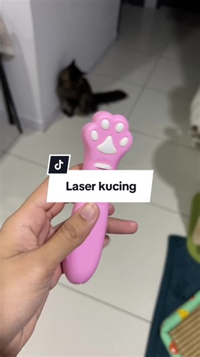 Engaging Cat Games with Laser Pointers for Playful Cats