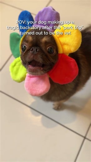 He's pretty dramatic 😐