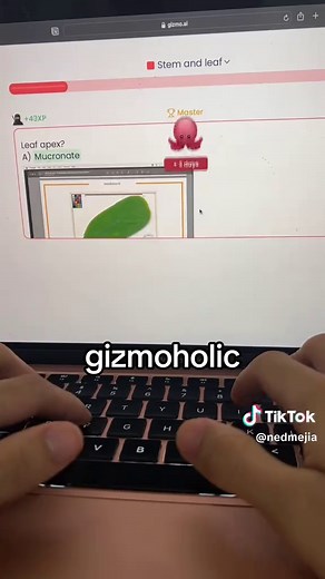 Gizmo Study Tips with Ned Mejia