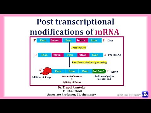 9: Posttranscriptional Processing of mRNA | Molecular Biology | Biochemistry | N'JOY Biochemistry