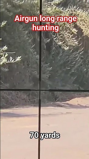 Hatsan Flashpup qe Long-range hunting