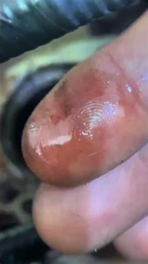 La importancia de utilizar Antifreeze en su auto