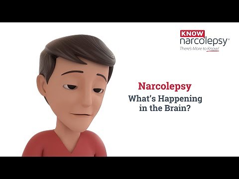 Narcolepsy: What’s Happening in the Brain?