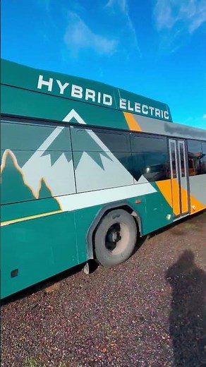 2009 GILLIG LOW FLOOR For Sale