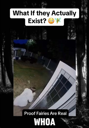 Do Fairies Really Exist? Unveiling the Mystery 🧚‍♀️