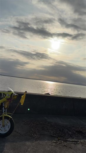 50ccに見えますか？ #fyp #熊本 #原付 #原付バイク #エイプ50 #ジョーカー50