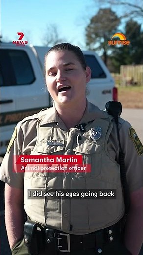 Drunk raccoon passes out after breaking into Virginia liquor store