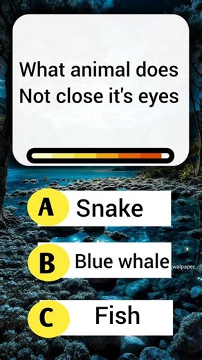 General Knowledge Quiz: Test Your IQ with These Questions 🧠