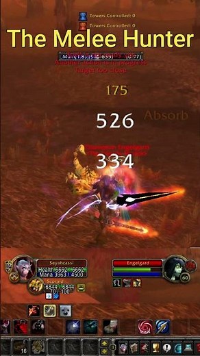 The Melee Hunter | WoW Vanilla Classic PvP - Single Player Project