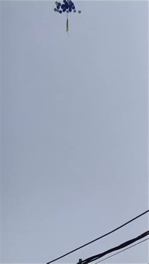 science exhibition inauguration