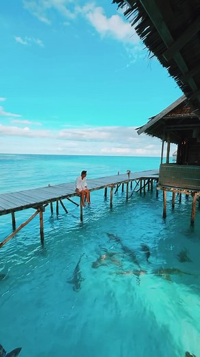 Nongkrong sore di wai resort raja ampat ya kayak gini. 🩵🦈🌴 mau cobain gk? Comment di bawah 😅 📍 Raja Ampat, West Papua | Timur Matahari