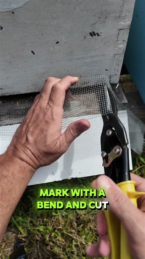 Vent Your Hive Entrances Like This! 🐝 🍯