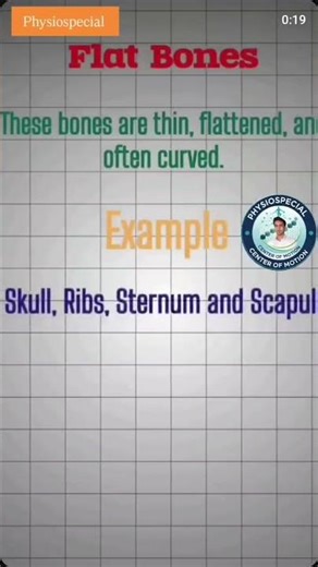 human bones 🩻⚕️ 3D animation