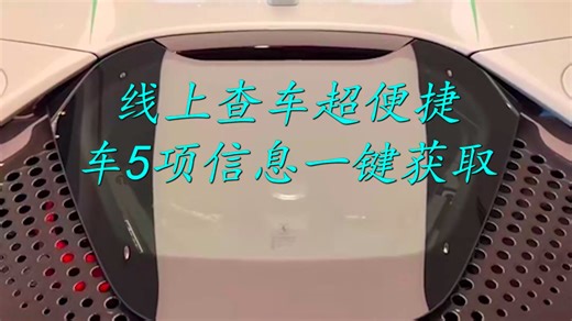 线上查车超便捷！5 项核心信息一键获取