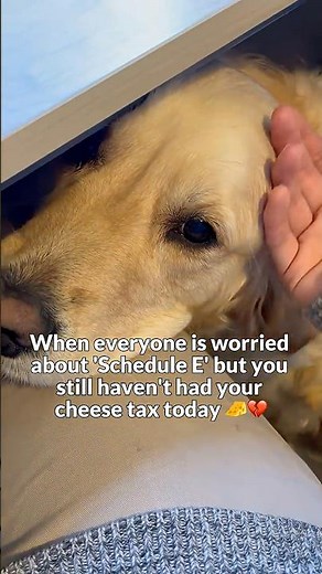 Evading Cheese Tax