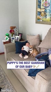 236K views · 1.8K reactions | He's taking his job way too seriously  | Bright Side | Facebook