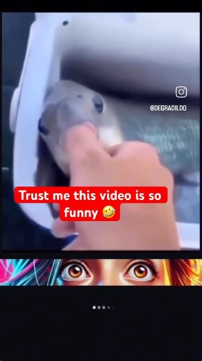 The Fish Was Way Too Talented 🤣🐟😂 #funny #shortvideo #trending #fish #comedyshorts #coolvideo