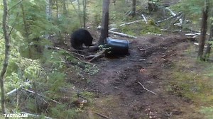 23K views | Another awesome Tactacam hunt for you to check out! | Bowhunting.com | Facebook