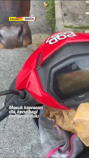 Sebab Motor Merah Menarik Perhatian di Malaysia